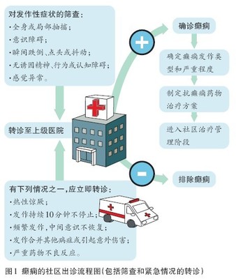 专家讲座:常见癫痫发作紧急处理