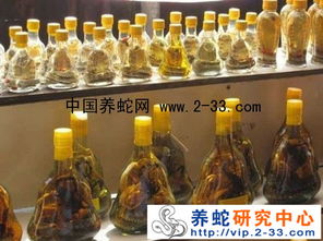 蛇酒的禁忌 癫痫患者为何不宜饮用