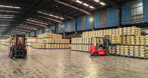 农资先行备春耕 云天化全力做好化肥保供稳价工作