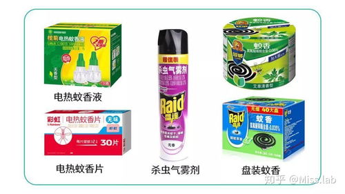 家猫家庭必备物品与禁忌 癫痫猫主人的全方位准备清单