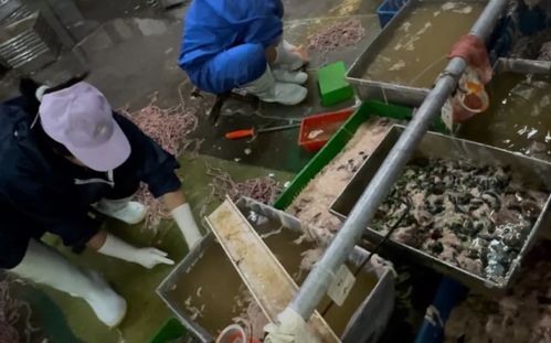 从李主任到利主任 癫痫诊疗中专家称呼的规范化思考